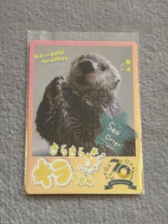 鳥羽水族館 コレクションカード キラちゃん ラッコ - メルカリ