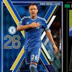 STOテリー ダビドルイス パニーニ PFL 訳ありのサムネイル