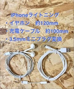 iPhone 라이트닝 이어폰·충전 케이블·3.5mm 미니 플러그 변환
