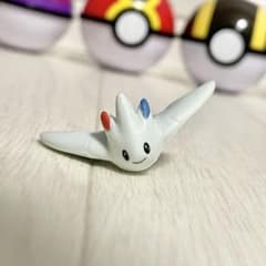 m41672398079_1.jpg?1719096784