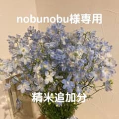 【nobunobu様専用】精米追加分のサムネイル