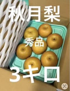 タコ伯爵夫人様専用　秋月 - 2