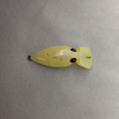 城峰釣具 オリカラ グローン モカ ロデオクラフト 廃盤品 レアカラー