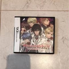 ＊まりか様専用＊ ヴァンパイア騎士 DSのサムネイル