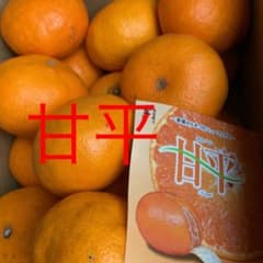 甘平のサムネイル