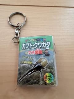 ドラゴン先生のカブト・クワガタ マメ図鑑 キーホルダー