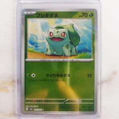 m41698932653_1.jpg?1712544894