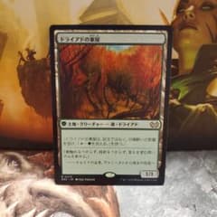 毎日発送】日本語 ドライアドの東屋 MTG - メルカリ