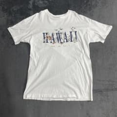 90s Hawaii ハワイ　Tシャツ　USA製　シングルステッチ　MAUIのサムネイル