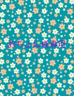 ジョブスト弾性ストッキング  Mサイズのサムネイル