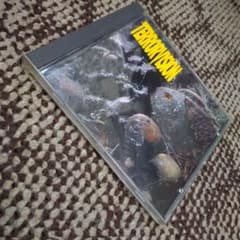 terrorvision formaldehyde