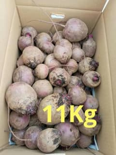 特売【訳あり】　ビーツ　約11キロ　三浦半島　農家直送　農薬不使用(栽培期間)のサムネイル