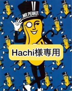 Hachi様専用★のサムネイル
