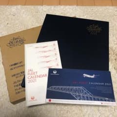 JAL JGL オリジナル　ダイアリーのサムネイル