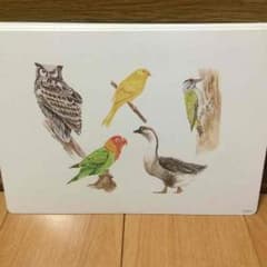 売り切り！鳥 フラッシュカードのサムネイル