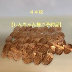 東京ディズニーリゾート スーベニアメダル まとめ売り44枚◉ご予約品