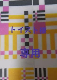 トイスト様 専用のサムネイル