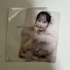 LARMEFES アフターパンフレット FRUITSZIPPER 松本かれん - メルカリ