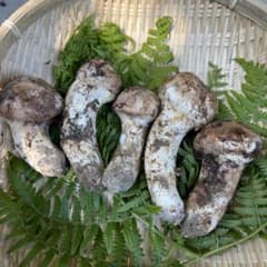 chika様専用【値段交渉可】信州産 採りたて松茸 197g＋237gのサムネイル