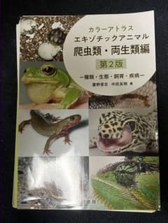 ◼️裁断済み◼️カラーアトラスエキゾチックアニマル 爬虫類・両生類編のサムネイル