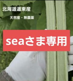 Thumbnail of 道東産フキ　詰め合わせ　シー様専用