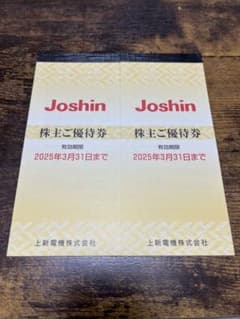 上新電機株主優待券　5000円×2束のサムネイル