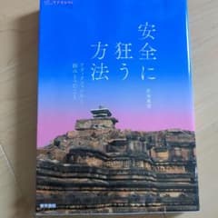 安全に狂う方法　アディクションから掴みとったこと　赤坂真理のサムネイル