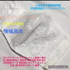 小池百合子都知事高級コットンペイズリーインナーマスク抗菌防臭通気性夏仕様のサムネイル