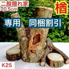 楢 二股隠れ家 樹洞 登り木 止まり木 クワガタ クワリウム エサ皿