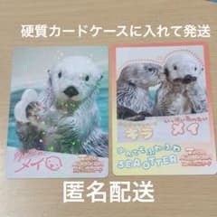 M*e様 美品 鳥羽水族館コレクションカードvol.2 ラッコ メイ レア 鳥羽水族館 コレクションカード vol.2 レアカード ラッコ ロイズ＆メイ