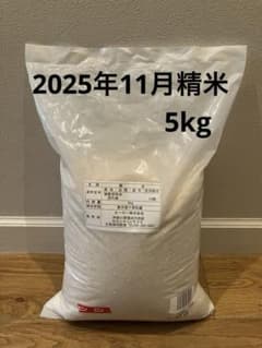 備蓄米　精米　国内産　5kg 5キロOK オーケー