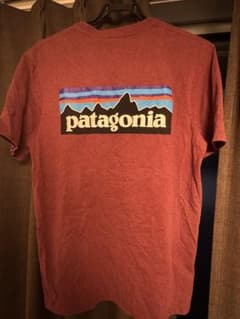patagonia バックプリント Tシャツ Sサイズのサムネイル