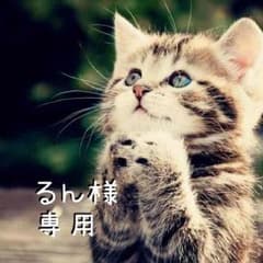 るん様専用です！IL BISONTE(イル ビゾンテ)トートバッグのサムネイル