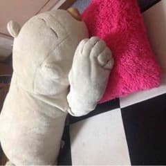 抱き枕のサムネイル