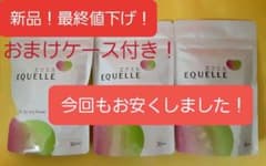 エクエル パウチ 120粒×3袋のサムネイル