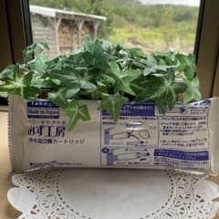 ののの様専用ページのサムネイル
