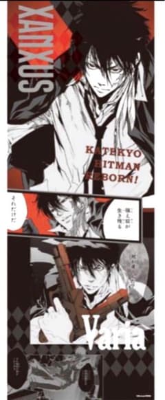 m41752802253_1.jpg?1717688928