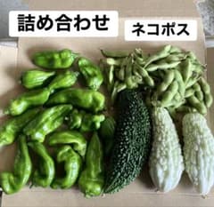 ミニゴーヤ・ミニピーマン・枝豆　野菜セットのサムネイル