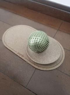 【美品】Shakti ワンダーボール　シャクティ　Wonderballのサムネイル