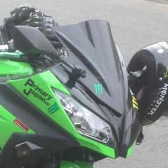 ニンジャ250用 スクリーンのサムネイル