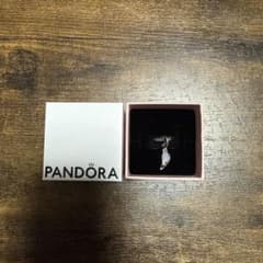 Pandora ブレスレットチャームのサムネイル