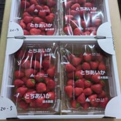 栃木県産いちご　とちあいか　中・小粒約2.2kg　5のサムネイル