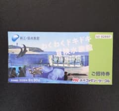 ネコポス送料込み！新江ノ島水族館 ご招待券 1枚 - 2