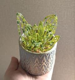ビーズフラワー　観葉植物　多肉植物のサムネイル