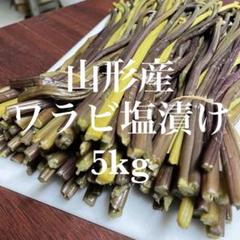 山形県産 アク抜きワラビ塩漬け 5kg(1kg×5袋)塩蔵 わらび 野菜 山菜 山形県産 アク抜きワラビ塩漬け 5kg(1kg×5袋)塩蔵 わらび 野菜 山菜