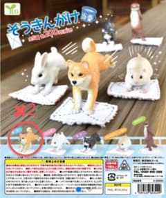 ぞうきんがけ当番　柴犬　ガチャガチャのサムネイル