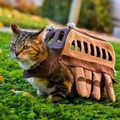 シルバーレイさん専用のサムネイル