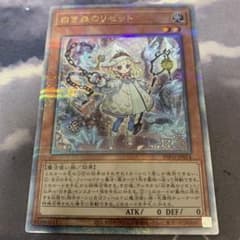 白き森のリゼット 25th クオシク - メルカリ