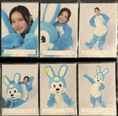 櫻坂46 浅井恋乃未 生写真 6種コンプ 見つけて櫻坂うさぎ 浅井ぴょんきちのサムネイル