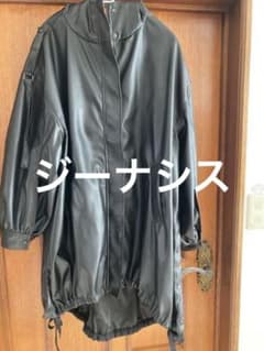 ジーナシスのジャケットのサムネイル